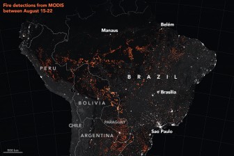 Cháy rừng Amazon: Những con số biết nói