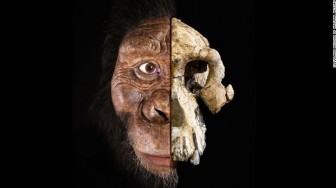 Tiết lộ khuôn mặt của tổ tiên loài người từ 3,8 triệu năm trước
