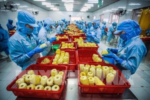 Bến Tre ban hành kế hoạch xuất khẩu nông sản chính ngạch