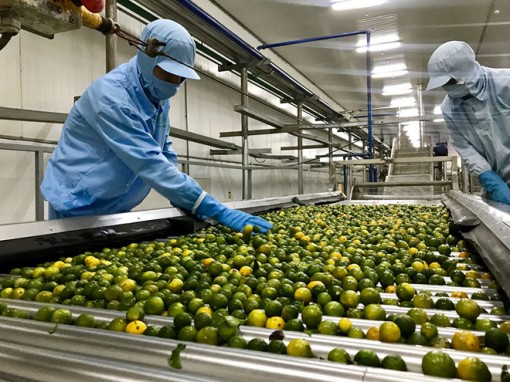 Giải ngân gần 71.300 tỉ đồng cho trên 4.400 doanh nghiệp ĐBSCL