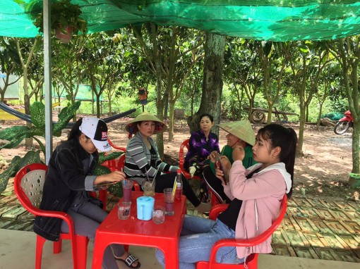 Phát triển mô hình trồng dâu tằm kết hợp dịch vụ