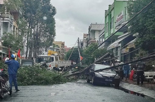 Trụ điện gãy đè bẹp ô tô biển xanh đưa đón Bí thư Thành ủy Vị Thanh