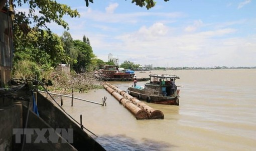 Xâm nhập mặn có khả năng xuất hiện sớm ở Đồng bằng sông Cửu Long