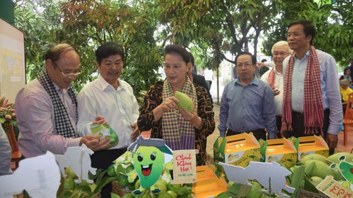 Đồng Tháp kiến nghị làm đường cao tốc An Hữu - Cao Lãnh gần 5.400 tỉ đồng