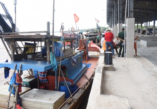 Sóc Trăng đưa vào vận hành Bến cá Mỏ Ó