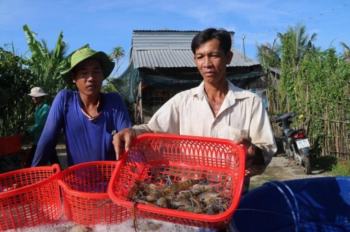 Hội chợ công nghệ ngành Tôm tại Cần Thơ có gì?