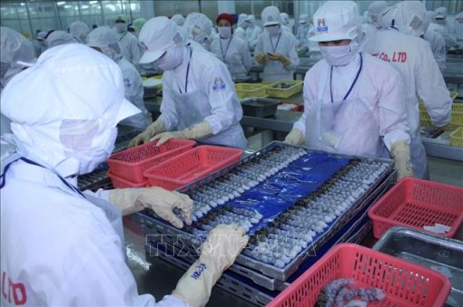 Giá trị xuất khẩu thủy sản giảm 1,2%