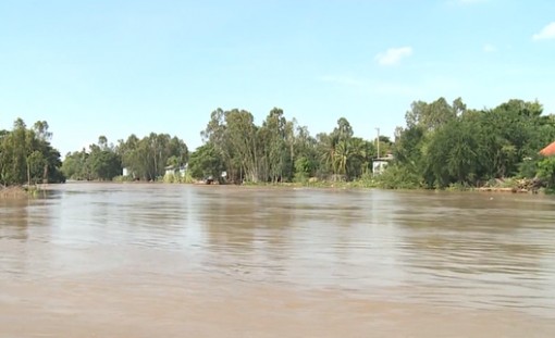 Nước lên nhanh trên sông Cửu Long