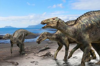 Phát hiện hoá thạch loài khủng long mỏ vịt bí ẩn sống ở Nhật Bản 72 triệu năm trước