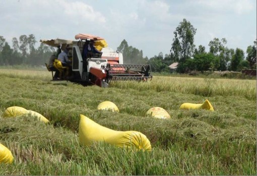 Nông dân Long An sẵn sàng phương án đón lũ muộn sắp về