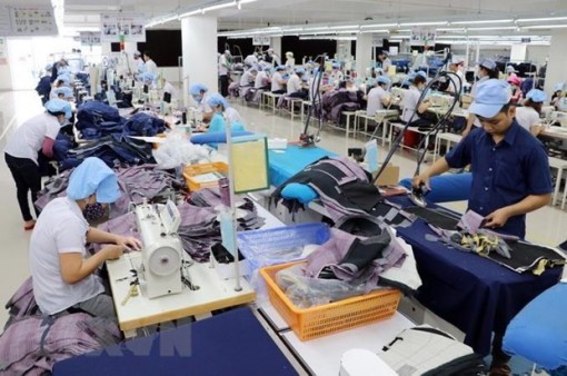 Kim ngạch xuất khẩu của Việt Nam sang Séc tăng trong 6 tháng đầu năm