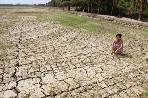 Sau lũ nhỏ, ĐBSCL đối diện hạn mặn lịch sử?