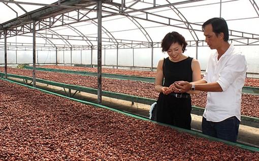 Bến Tre nâng cao chất lượng đội ngũ cán bộ, đảng viên