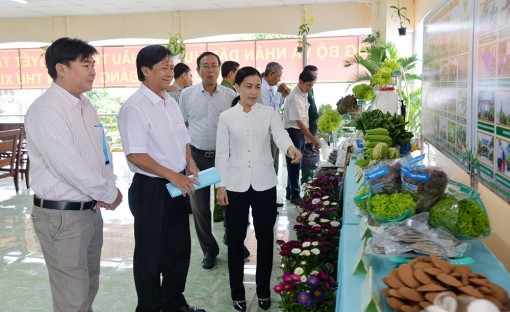 Nông dân Châu Thành sáng tạo, thi đua sản xuất-kinh doanh giỏi