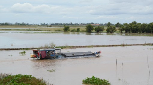 Lũ về miền Tây