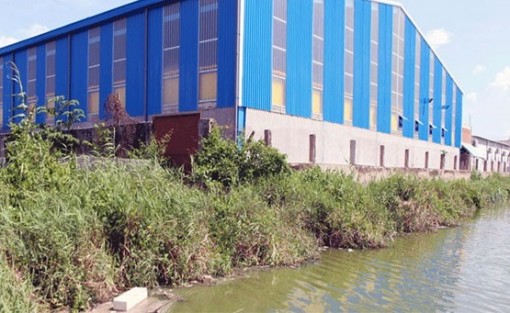 Gây ô nhiễm, một doanh nghiệp ở Bến Tre bị phạt hơn 700 triệu đồng