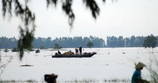 Đồng Tháp dự kiến xả lũ hơn 90 ngàn hecta