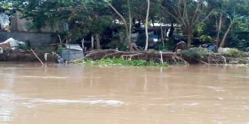 Cần thiết xây dựng kè Châu Phong