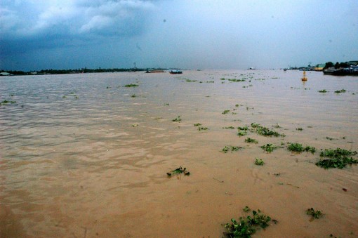 Lũ đang về ĐBSCL