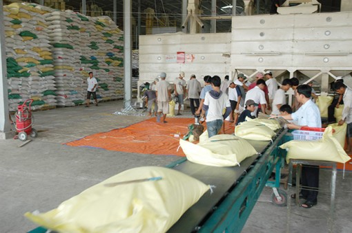 Tạo nguồn vốn cho doanh nghiệp nông nghiệp đồng bằng sông Cửu Long