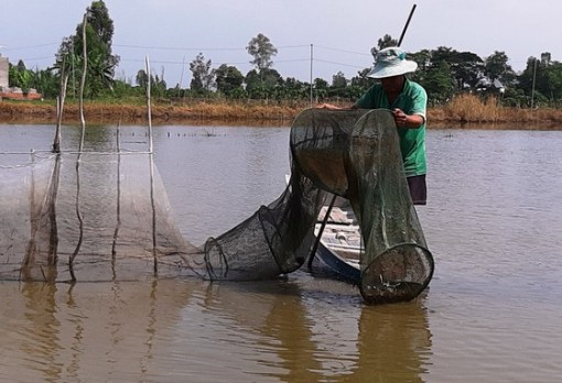 ĐBSCL: Nước lũ ở Tân Châu đã vượt báo động 1