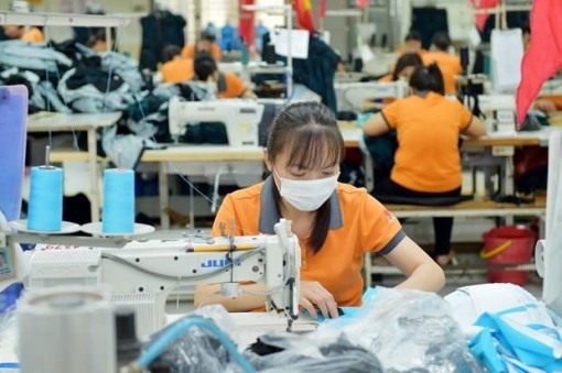 Thực thi EVFTA: Thách thức từ cạnh tranh nguồn lực lao động