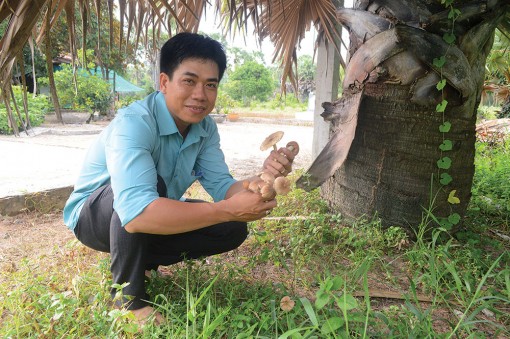 Ngọt lòng nấm mối!