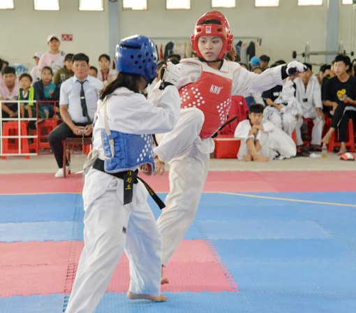 Quan tâm xây dựng lực lượng kế thừa chất lượng