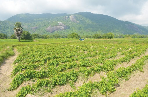 Du ngoạn núi non