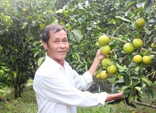 Cần Thơ: Triển khai hiệu quả nguồn vốn vay từ Quỹ quốc gia về việc làm