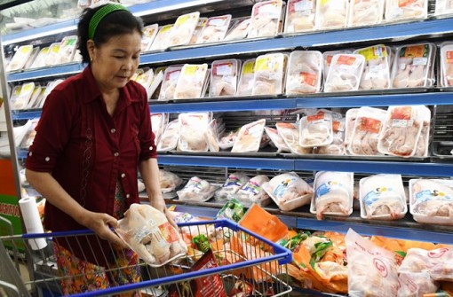 Loay hoay giải bài toán giá thịt gà tại các tỉnh phía Nam