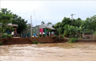 Nguy cơ ngập lụt, sạt lở bờ sông tại An Giang, Đồng Tháp