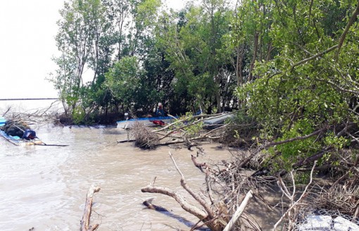 Thủ tướng chỉ đạo kiểm tra khắc phục sạt lở ở ĐBSCL