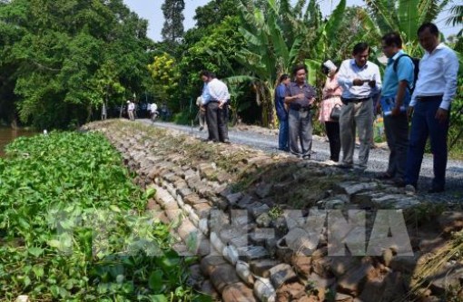 Đồng Tháp bàn giao công trình kè mềm chống sạt lở bờ sông