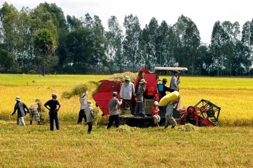 Chủ động xóa vùng trắng của cơ khí nông nghiệp ở ĐBSCL