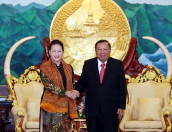 Tiếp tục vun đắp mối quan hệ đặc biệt giữa hai nước Việt Nam-Lào