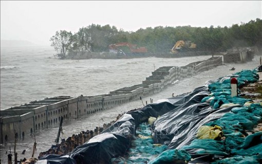 Cà Mau di dời hàng nghìn hộ dân ra khỏi vùng sạt lở nguy hiểm