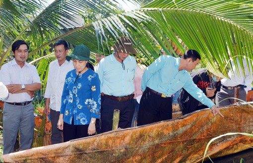 Bí thư Huyện ủy Châu Thành khảo sát các mô hình sản xuất nông nghiệp