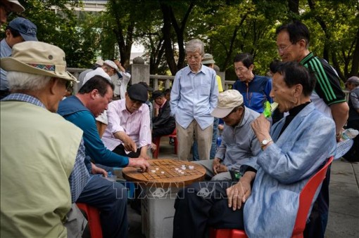 Để không lãng phí nguồn lực 60+