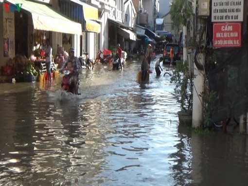 Người dân Bạc Liêu gặp khó khăn vì triều cường dâng cao