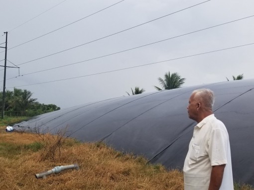 Túi khí gas khổng lồ dưới đường điện cao thế ở Sóc Trăng