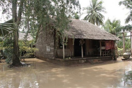 Triều cường gây ảnh hưởng nặng nề đến đời sống, sản xuất ở Sóc Trăng