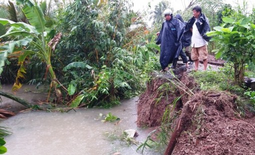 Nỗ lực khắc phục thiệt hại do triều cường