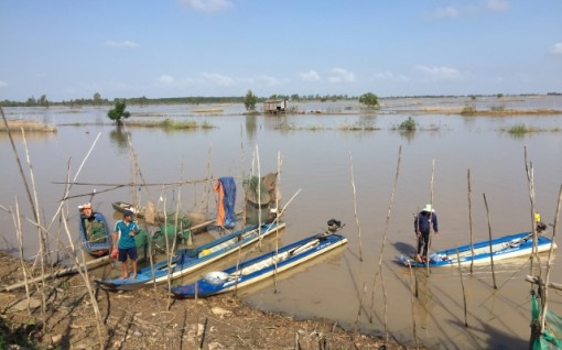 Thực hiện “mong chờ” người dân vùng Tứ giác Long Xuyên