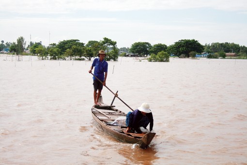Trên đồng nước lũ