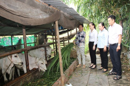 Hiệu quả đồng vốn tín dụng Ngân hàng Chính sách xã hội ở Chợ Mới