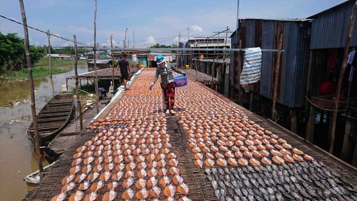 Nhà sản xuất và người tiêu dùng chưa gặp nhau