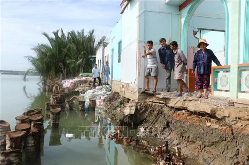 Long An xử lý đột xuất các điểm đê bao bị ảnh hưởng triều cường