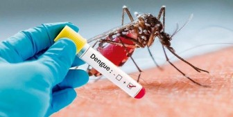 Kon Tum: Một trường hợp tử vong do sốt xuất huyết Dengue