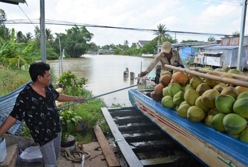 Sáng kiến qua cống, đập "có một không hai" của cư dân Cà Mau